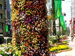 花緑楽祭-4　高崎市街の花路・花通り　☆駅前から高崎公園まで