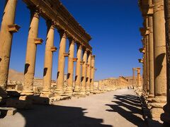 世界遺産Palmyra遺跡 1列柱道路