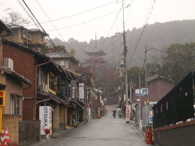 清水寺周辺を歩いて回りました。<br /><br />傘をさしながら歩くのは大変だけど、雪景色はいいですね☆