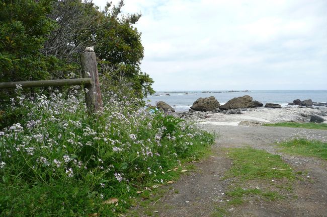 千葉県の白浜に行ってきました。