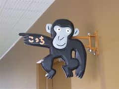 2008.05北海道2日目-2（旭山動物園）