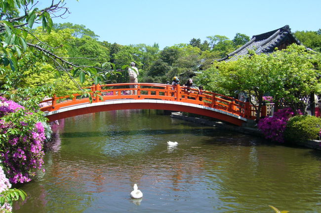 京都の名庭園といわれる１００寺院の写真集です。<br />「京都名庭100選」の一覧リストはコチラをご覧下さい。<br />　→http://shokyoto-kyoto.seesaa.net/<br /><br />つつじが終わりそうなので、急遽「神泉苑」と「智積院」を訪問しました。<br />神泉苑は、桓武天皇が平安京造営時に、中国の禁苑（天皇のための遊苑）を模倣して造られたもので、京都最古の庭園だそうです。常に清泉が湧き出すことから「神泉苑」と名づけられたそうですが、歴代天皇がしばしば訪れ、花見や、納涼、船遊び、詩歌管弦、狩りなどが繰り広げられたといわれるだけあって、つつじの綺麗な気品の漂う庭園という感じ。<br />また、ひときわ目立つ朱塗りの橋は、源義経と静御前が出会った場とも言われていることから、真面目な願い事を一つして、この橋を渡り、善女龍王社にお願いすると叶うそうです。<br /><br />智積院は、全国に3000余の末寺を有する真言宗智山派の総本山で、この講堂には全国から僧が修行にきています。<br />ここの見どころは二つあって、一つは、国宝に指定されている長谷川等伯一門の障壁画で、「楓図」「桜図」など桃山文化の華麗な美術に感動します。500円の拝観料でこの有名な名画も見れるのがまた感動。<br />もう一つが、「東山随一の庭」として名勝に指定され、「利休好みの庭」と伝えられる庭園。中国の盧山を形どって造られた池泉鑑賞式庭園で、斜面を利用した植え込みや滝とその石組みなどを大書院から眺めると、雄大さと重厚味を感じて気持ちがよい。新緑の中に赤いつつじが光るこの時期は最高で、もう少し後のサツキ満開の頃は一段と華やかさを増すに違いない。<br /><br /><br /><br />