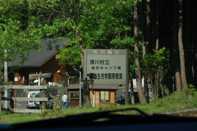 神奈川県唯一の村、清川村の金沢キャンプ場へ行ってきました。<br />厚木から宮ケ瀬湖を抜け、細い林道を5キロほど走ると到着！<br />五月晴れの気持ちのよい日差しで、日焼けしてしまいました。<br />ＢＢＱといっても、七厘で準備も片付けも手早くできて、お勧めです。
