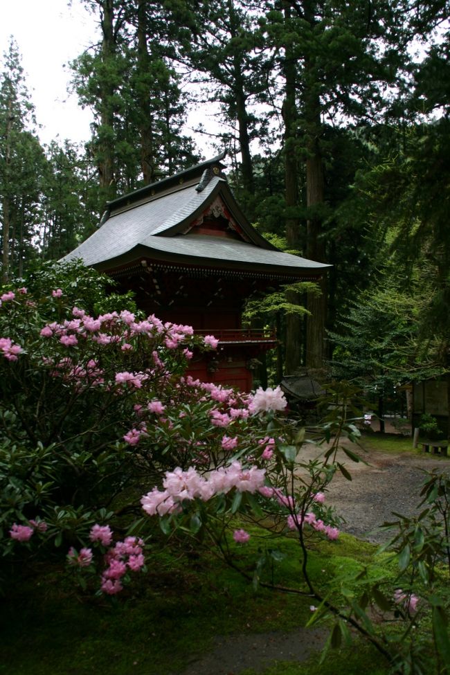 ゴールデンウイーク休暇の締めくくりイベントです。<br />郷里に帰って今回は北茨城市の花園神社の石楠花と<br />亀谷地の水芭蕉の咲くという湿原へドライブしてきました。<br />もちろん最後は郷里の「ぬく森の湯」で汗を流して・・・