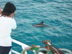 紅海の町、ハルガダ１４泊１５日の旅☆９日目・ドルフィンツアー