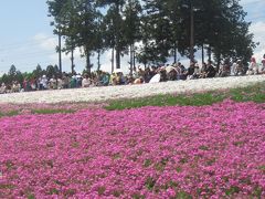 GW後半の花めぐり（2）念願の秩父・羊山公園の芝桜の丘