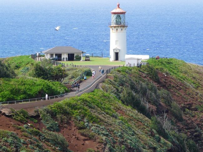 カウアイ島はハワイ諸島の中で、一番北側の島。<br />そのカウアイ島の最も北に位置する、つまりハワイ最北端のキラウエア・ポイントにある、キラウエア・ライトハウスに行って来ました。<br />この灯台は1913年から1976年まで稼動していましたが、今は使われていません。1979年にこの灯台と周りの3つのかつての燈台守達の住宅が、国の歴史的記念建造物に指定され、またこの辺りは海鳥や其の他の鳥獣保護区にもなっている為、年中、観光客が訪れています。<br /><br />ご興味のある方は↓に地図や行き方などが載っています。<br />http://www.hawaii123.com/kauai/sightseeing/lighthouse.html<br />（入場料2ドルと出ていますが、現在は5ドル、またドネーション・ボックスではなく、有人の料金所があります）