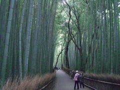 母とウエダさんと３人で