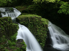 『日本の滝百選』、赤目四十八滝、新緑が雨に濡れる。/三重県名張市