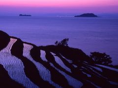 伊根町棚田の日の出