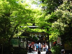 嵯峨野の竹林、野宮神社