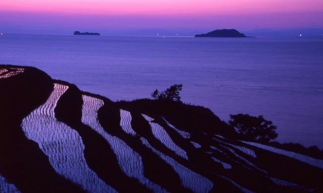 丹後半島の伊根町に棚田がる。<br />伊根町の棚田で棚田を入れた日の出を撮影に