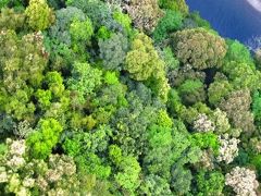 南九州1,931Kmのドライヴ　Vol.6=綾町・宮崎=