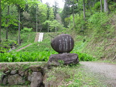 瀞川平の癒しの森へ犬と散歩    Hachikita, Hyogo pref. 