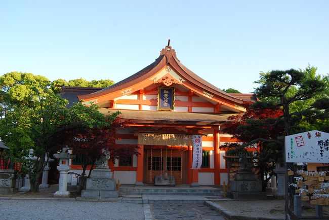 ５月５日、午後４時半過ぎに実家〔福岡市西新地区〕から近い、祖原山〔標高：３５ｍ〕、紅葉山〔標高：３５ｍ〕、西新地区を散策した。　当方にとっては生まれてから高校までの間に良く歩いたなじみの地域である。　その中でその当時は余り関心が無かった紅葉山や高取焼き窯元を訪れると新しい発見があった。<br />この後、元寇防塁跡、母校や、大学キャンパスを見て<br />午後６時過ぎまで散策をして思い出の町を懐かしんだものである。<br /><br />紅葉八幡宮について・・案内より<br /><br />紅葉八幡宮は文明十四年（室町時代）筑前の国橋本村に御建立と伝えられます。江戸時代にいたり福岡藩三代藩主光之候により西新の地（百道松原）に遷宮され以来来歴藩主により篤く信仰されておりました。正面大鳥居には梶井宮親王御真筆の黄金の額が奉納され、西新の町々が門前町として発展していきます。<br />歴代藩主の崇敬も篤く福岡藩・黒田家の守護神として多いに賑わい、福岡に一旦事ある時はまず当宮に参拝祈祷されることが慣例となっていました。社領三万二千坪を有し荘厳なる社殿は東の箱崎、南の大宰府・西の紅葉と並び称され、旧暦九月十一日（現十月十一日秋季大祭）は藩主以下藩士庶民参拝のため登城御免（藩の休日）となってました<br /><br />高取焼・・・説明文による<br />高取焼（たかとりやき）は福岡県直方市、福岡市早良区などで継承されている陶器で、400年ほどの歴史を持つ県下有数の古窯。<br /><br /><br /><br />＊写真は紅葉八幡宮<br /><br /><br />