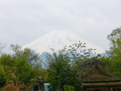 山中湖・忍野八海・河口湖・・富士山、見えた！