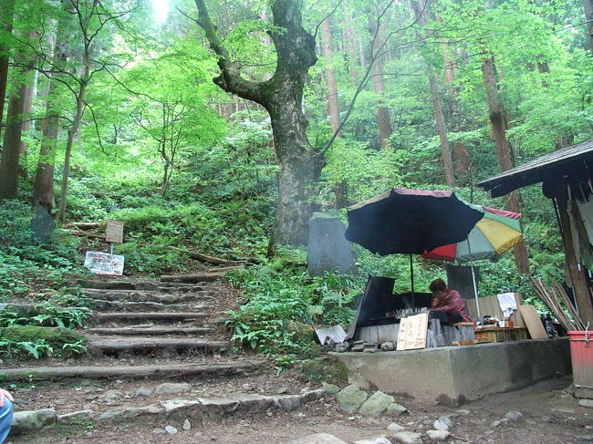 ご存知、越後一ノ宮の「弥彦神社」の左を行くと「登山道」に出る。<br />御影石（多分）の鳥居を潜って「杉木立」の中を高度を上げてゆくと、右側に山の茶店が開いてれば「煙」が見えるはず。<br />明治の頃からと由緒？ある「掘立て小屋」が。元の姿をとどめないほど擦り切れた「コンクリの水槽」に「飲み物」が浮かんだり沈んでる。小屋の山側には、二本のパラソルの下には雨露を避けて「火場」と「簡易勝手？」がある。<br />火場のパラソルの裏は「まっくろけ」だ！！<br /><br />道向えには「ダンボール（シーツ？）」を敷いた簡易腰掛！！<br /><br />トコロテンは２５０円、ゆで卵と辛味こんにゃくはともに１００円。<br />お付きに「コーヒー」か「お茶」<br /><br />この小屋を過ぎると四合目まで「つづら折りの登山道」が木立林間を上る。<br /><br />四合目と五合目間は、雑木の中の「尾根」登りの階段状です。<br /><br />五合目を過ぎると、山腹を少し降り按配の道をすぎてから岩場的になり、朽ち果てた橋にたどり着きます（六合目）<br />ここから５分くらいで「里見峠」の雨しのぎ屋に到着！下界の越後平野の眺望が素晴らしい。<br />一休みのアトは、もう楽です。５分もしないうちに七合目の「水場」に！！「生水で飲むな」とありますが、コップが六個以上も？<br />つぎの八合目はホンノ気休め。さあ、もう一踏ん張りで「ヨッホ鞍」の九合目！！６月になれば「アジサイが」歓迎してくれます。<br />右に行けば「レストラン」や「遊戯場」「ロープウエー」ソノ向こうに「十寳山（多宝山）」左に約１５分で「弥彦山頂神社奥の院」<br />ま、大体こんな具合の登山です。<br />弥彦山登山のベテランの火宝見れば、変な分部がある事と思いましたらごめんなさい。<br />なお、写真は「やまの茶屋」だけといたします。<br />あとは次回のチャンスにて。<br />