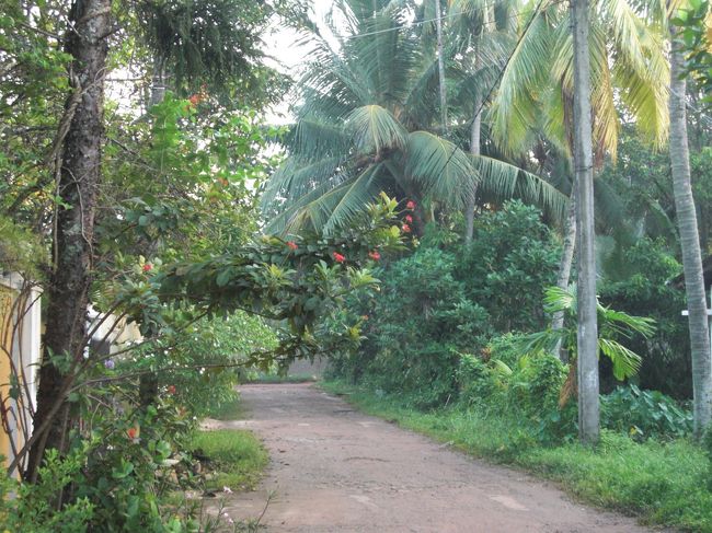 Path to Sigiriya...<br />