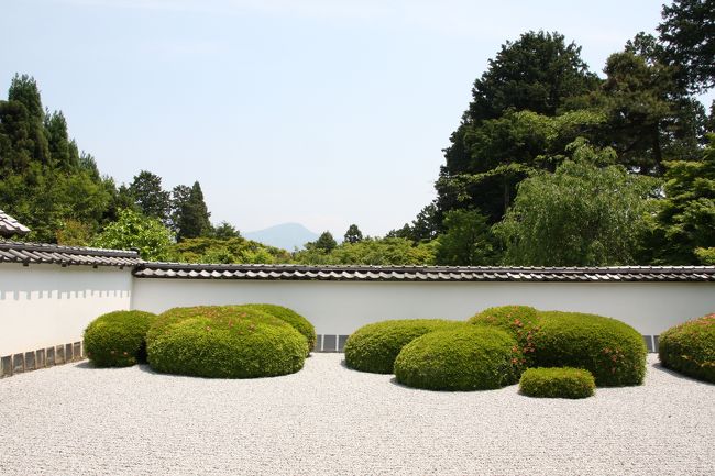 新緑が眩い中、西賀茂の正伝寺から上賀茂神社を訪れました。<br />正伝寺は、訪れる人も少なく、京都にお住まいのトラベラーさんもお奨めの穴場。一度、行ってみたいと思っていましたが、やっと実現しました。<br />比叡山を借景に獅子の児渡しの庭園が見事です。<br />