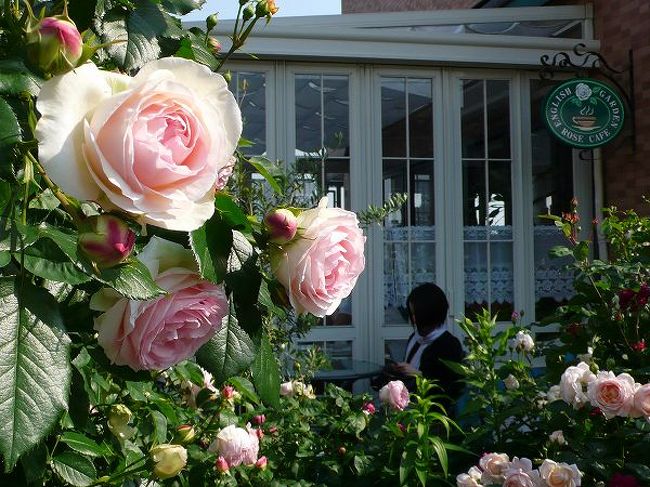 English Garden Rose Cafe 国分寺 小金井 東京 の旅行記 ブログ By もろずみさん フォートラベル