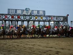 川崎競馬場