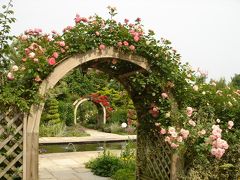 2008.05 Andy & Williams BOTANIC GARDEN・・・英国庭園を歩く (番外編：妻の散歩)　