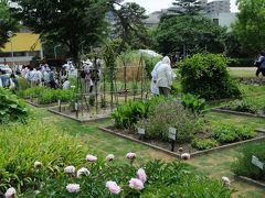 東邦薬科大学（習志野キャンパス）　薬草園一般公開