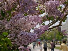 ２００８札幌大通公園　冬～初夏編