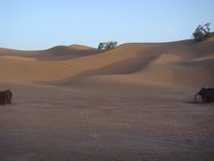 【６】旅行記２　(3)モロッコ縦断サハラ沙漠の旅