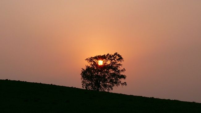 毎年、このシーズンは「美瑛のアスパラ」食べ尽くしの旅♪<br /><br />美味しいアスパラを堪能し、<br />今回は、久しぶりに、<br />美しい夕日を見ることができました。<br /><br />この時期は、日の出も４時頃と早く<br />日の入りは19時前と遅いので、<br />日中の時間が長いこと(^^ゞ<br /><br />紫外線も強く、あまりお天気過ぎると疲れますぅ…(^_^;)<br /><br /><br /><br /><br />