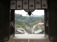 奈良　「長谷寺」の桜　(２００８年４月）