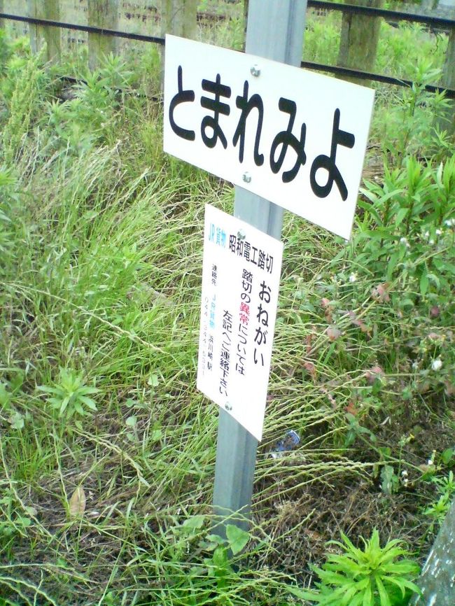 西瓜人さんから大川町の貨車入れ替えが廃止と言う話を聞き、そこに行く機会がありましたので見に行きました。<br />確かに情報通り廃止されたようです。線路の雑草は伸び放題。<br />レールの表面には錆び。いつもの交換時間に列車が来ない。<br />構内に貨車が無い、色々と合致します。<br />この様なかたちで廃線が有るのを実感しました。写真は廃止にも関らず、新品の踏み切り標識です。<br />この矛盾が今後、復活の可能性が有るかも知れないと言う状況を物語っているのでしょうか。