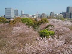 福岡城、「桜の城」