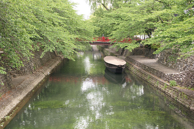 今年に入って、自分自身がバタバタしている為、久しぶりの旅になりました。関西圏をギリギリ抜け出して、東海圏へ。今までJRで何度か通過した事のある大垣を、今回は下車して探索してみました。<br />1日目…(朝)大阪からJRで大垣へ。水門川沿い～四季の広場～奥の細道むすびの記念館～奥の細道むすびの地～住吉灯台～(昼)大垣城～大垣市郷土館～(夕方)大垣からJRで大阪へ。