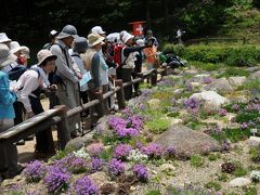 神戸　植物園めぐり（３）　六甲高山植物園
