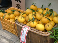 気ままにひとり夏みかん♪思い立ったら「萩」　その1