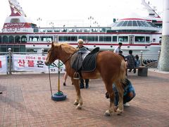 2004春、韓国紀行12(15)：5月4日(3）インチョン・束草から仁川へ、月尾島