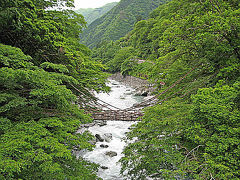 四国巡りの旅-④-１　徳島県　祖谷渓谷かずら橋