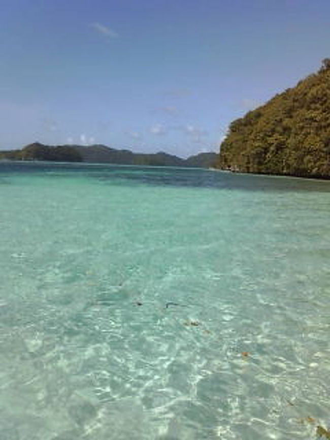 第二回目のダイビングです<br />本日もブルーマーリンから<br />ブルーコーナーとブルーホールへ!!<br />海中の写真がないのが実に悔しいところですが<br />