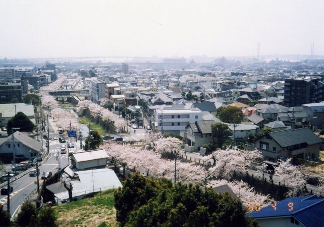 2000年の花見は、wifeが一度行ってみたかったという『ヨドコウ迎賓館』の見学を兼ねて、芦屋川に行きました。<br /><br />自宅→ヨドコウ迎賓館→芦屋川で花見→高浜虚子記念館→阪神競馬場（桜花賞）<br /><br />※写真は、プリント写真をスキャナで読み取ったものです。