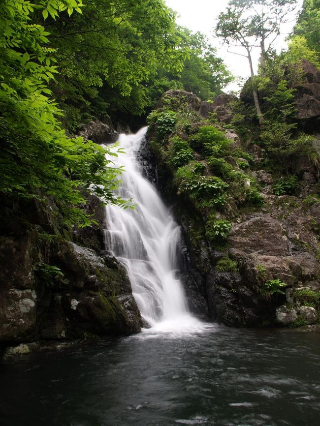 梅雨入りして最初の週末、土曜日は天気が良さそうでしたが用事があり登山、滝めぐりはできません。日曜日は天気予報では雨でしたので家でのんびりしようと思っていましたが、土曜日の時点で日曜の予報は曇りに。そして日曜日目が覚めると（かなり寝坊した）結構天気がいいので滝めぐりに出かけることにしました。昼過ぎの出発のため近場の滝をということで、砥峰高原、峰山高原にある太田の滝と黒岩の滝へ向かいました。