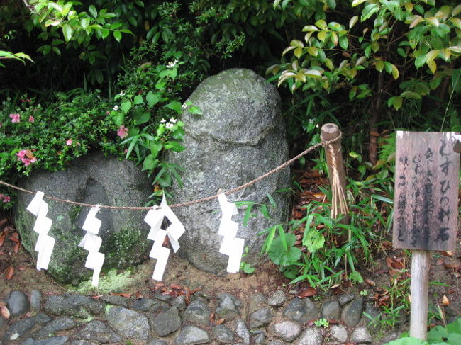 梅雨の合間に、飛鳥へ行きました。昨日の雨で飛鳥川はかなり増水していました。石舞台から展望台のある丘へ急な階段を上って、畝傍山方面を眺めることができました。暑さもあり、犬も相当に草臥れて、頂上で暫し休憩タイム。<br />木陰はひんやりとして、苔が匂ってくるようでした。<br />５,６年前に来た時は、塀もなかった万葉文化館横の亀型石造物もしっかり生垣が出来ていました。すぐ傍の酒船石は無料で見られます。飛鳥寺も犬同伴なので、通り抜けて蘇我入鹿首塚へ。<br />以前に訪れた藍染織館・土鈴館へ行き、久し振りにお話ができました。