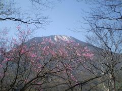 GW最終日の男体山・中禅寺湖と桜