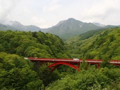 新緑の清里高原