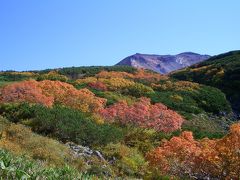 【北海道】きれいな紅葉に出会う旅（070921）