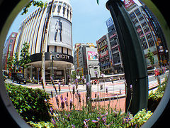 簡易魚眼レンズで遊ぶ・１