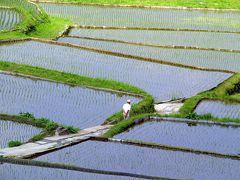 いざ！ヤマナシ