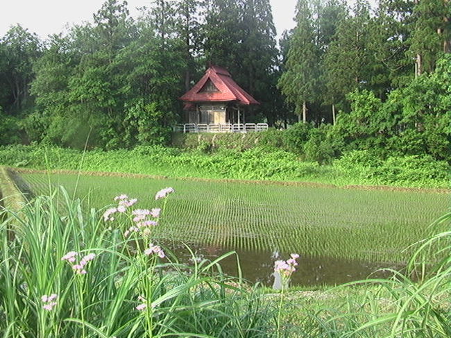 初夏の風の吹く６月の里山は緑色、田植えの終わった棚田は<br />美しいものでした。<br />稔りの秋を手元に感じながらの田植えでした。<br />春から初夏に向っての風景をお届けします。<br />