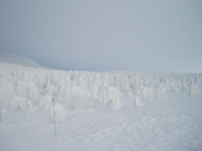 初めて蔵王にスノボに行きました。<br /><br />樹氷を見るにはリフトとゴンドラ？を乗り継いで、かなりの距離の平坦なコースを進まなくてはならず、スノーボーダーにはきつかったです・・・。<br /><br />苦労した甲斐あって、樹氷のモンスターたちはかなりご立派な姿を見せてくれました★<br />