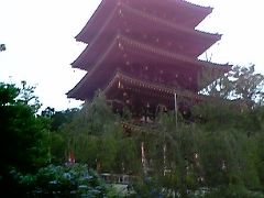 2008.06高幡不動のあじさい